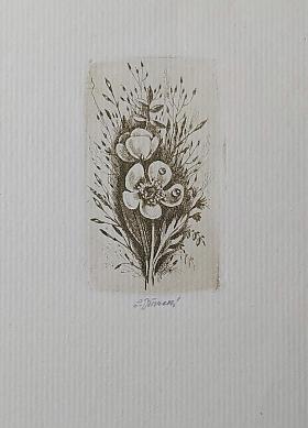 Jiřincová Ludmila – Kytička lučních květin