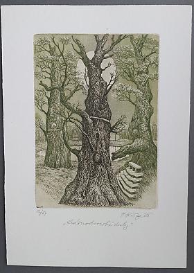 Kisza Herbert – Krásnodvorské duby