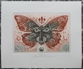 Bauer Milan – EXL.Š.T. , motýl